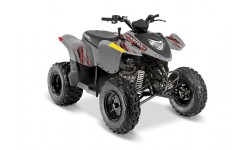 PHOENIX® 200