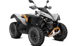 Renegade