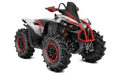 Renegade
