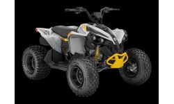 Renegade EFI