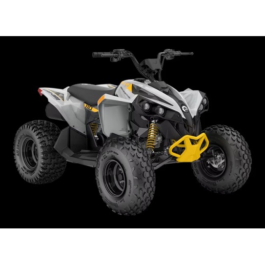 Renegade EFI