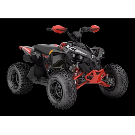 Renegade EFI