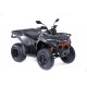 X-WOLF 200