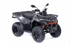 X-WOLF 200
