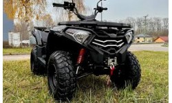 X-WOLF  300
