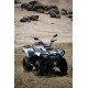 X-WOLF  300