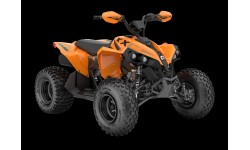 Renegable x xc EFI (Año 2027)